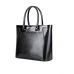 сумка женская/игуана черная 989-1
